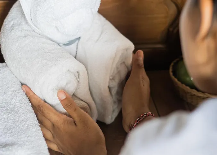 Bali Palms Accommodatie bij particulieren Selemadeg