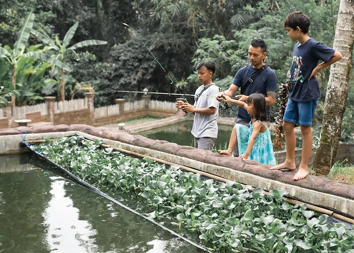 Accommodatie bij particulieren Bali Palms *