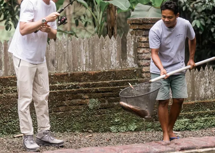 Bali Palms Accommodatie bij particulieren Selemadeg