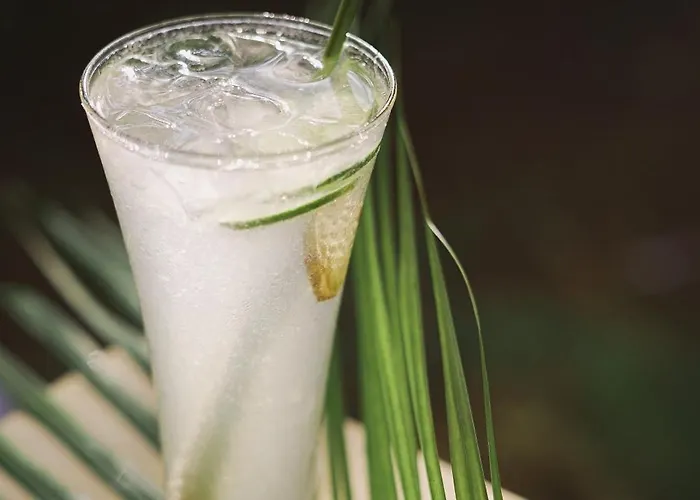 Bali Palms