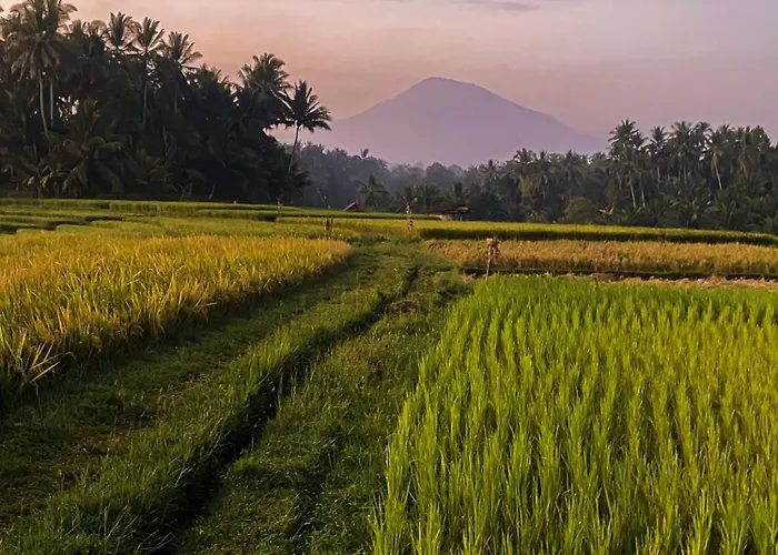 Bali Palms Accommodatie bij particulieren *