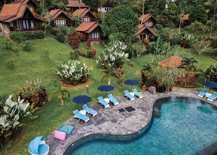 Bali Palms