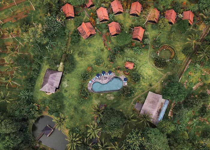 Bali Palms